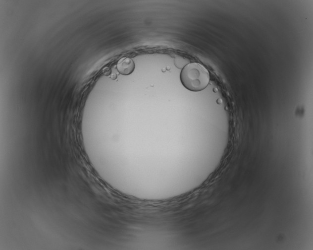 X0000115700968200912241519