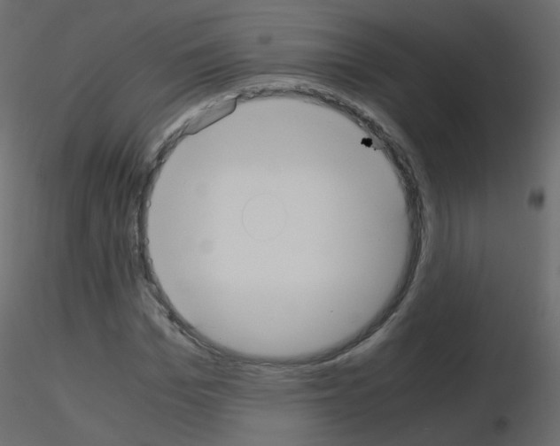 X0000115700969200912241519