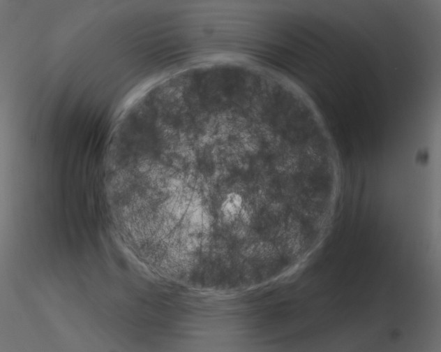 X0000115700970200912241519