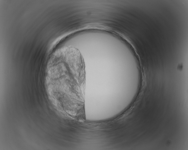 X0000115700971200912241519