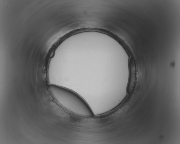 X0000115700973200912241519