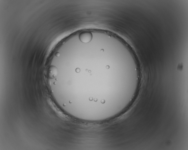 X0000115700974200912241519