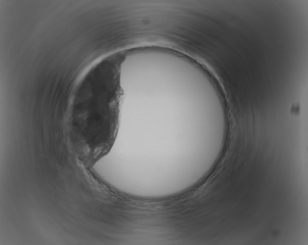 X0000115700975200912241519