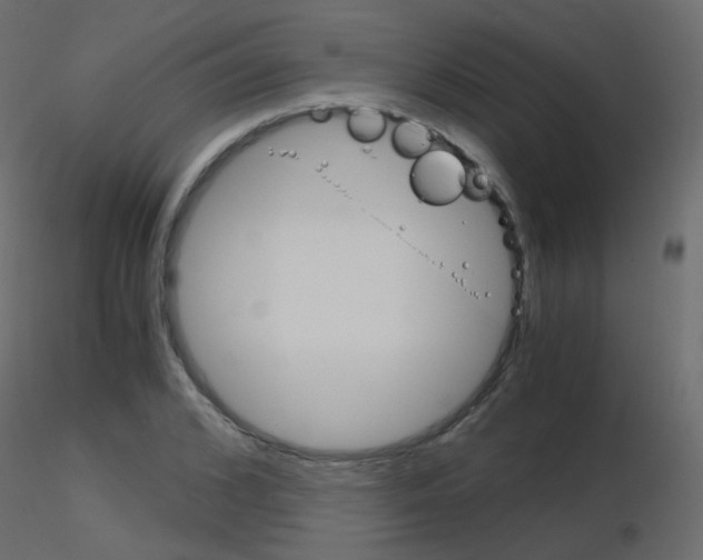 X0000115700976200912241519