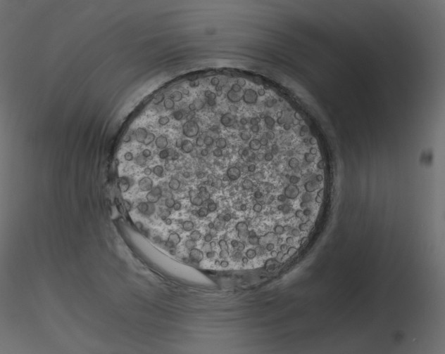 X0000115700977200912241519