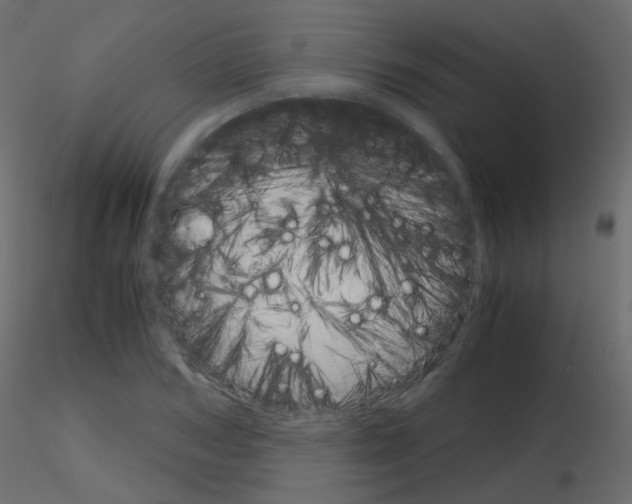 X0000115700978200912241519