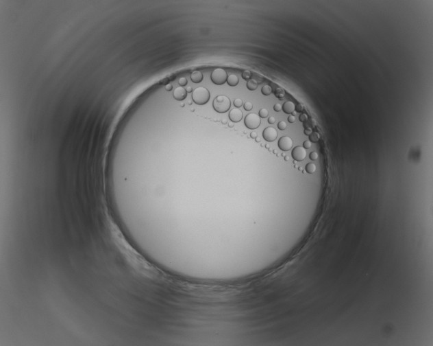 X0000115700980200912241519