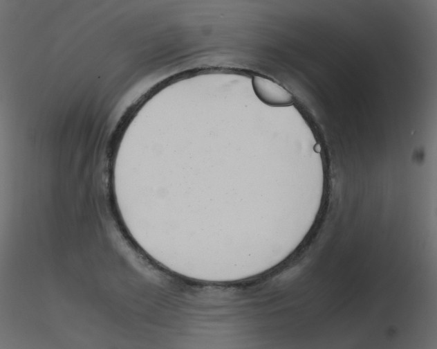 X0000115700981200912241519