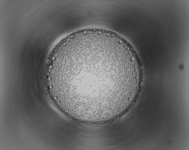 X0000115700982200912241519