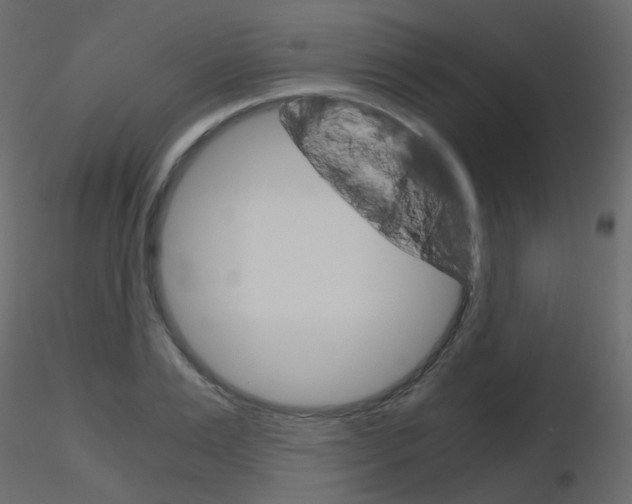 X0000115700983200912241519