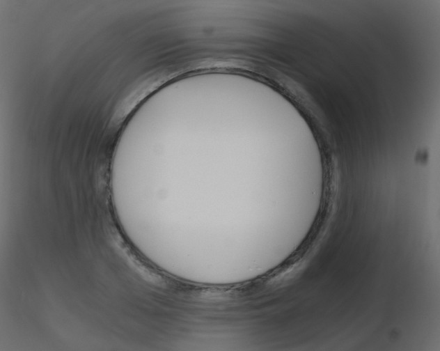 X0000115700985200912241519