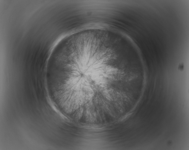 X0000115700986200912241519