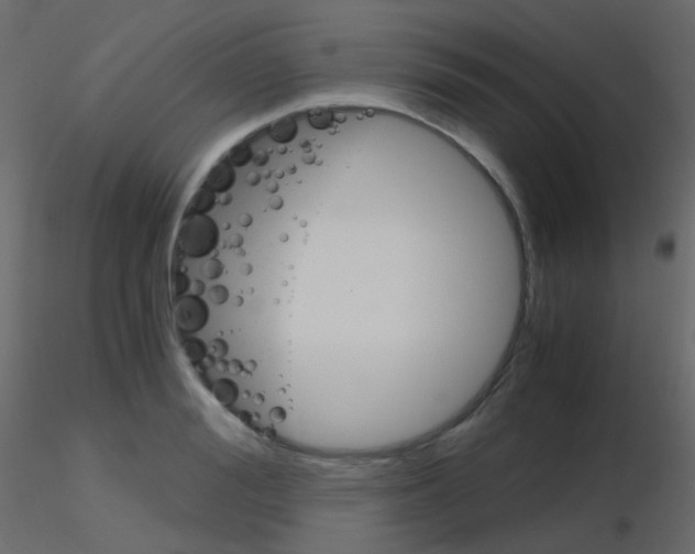 X0000115700988200912241519