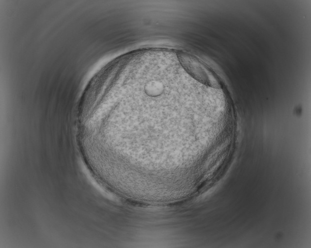 X0000115700989200912241519