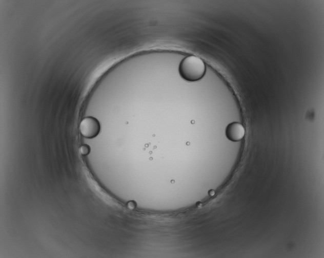 X0000115700990200912241519