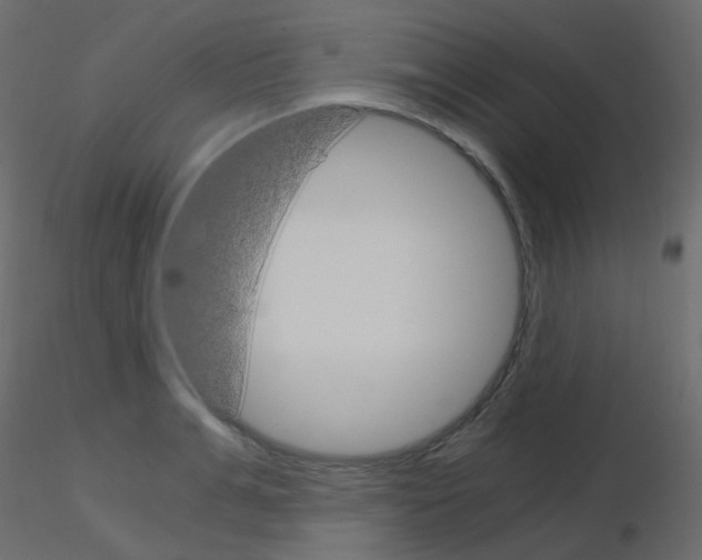 X0000115700991200912241519