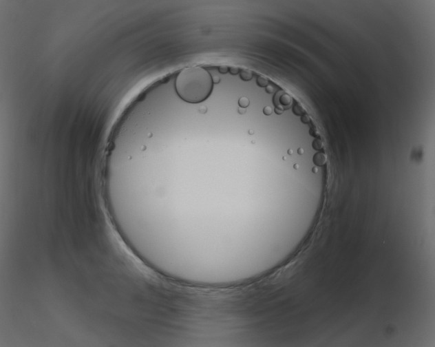 X0000115700992200912241519