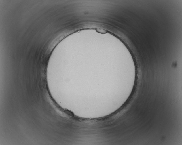 X0000115700993200912241519