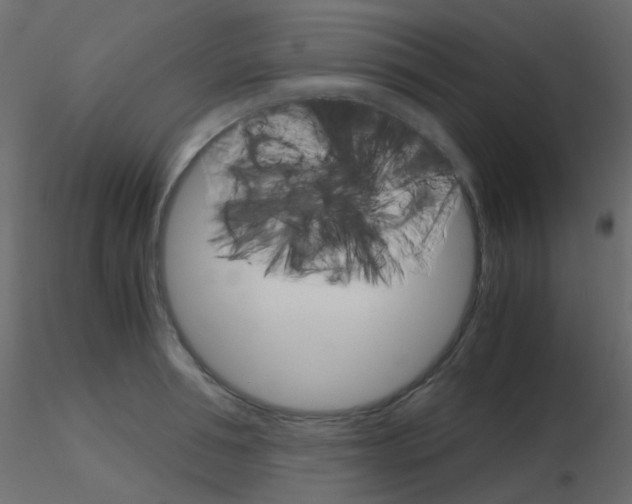 X0000115700994200912241519