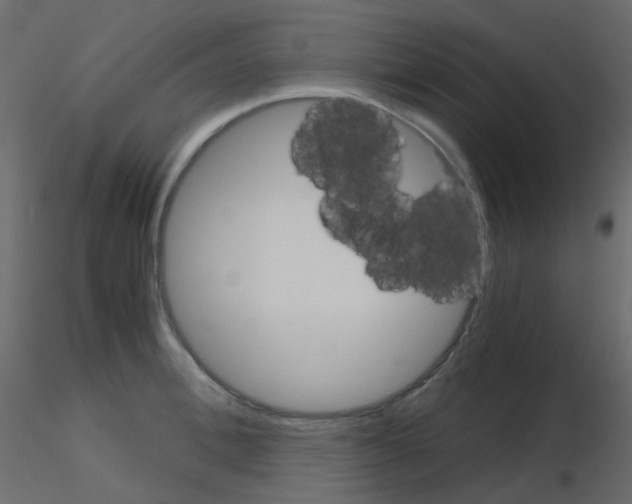 X0000115700996200912241519