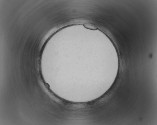 X0000115700997200912241519