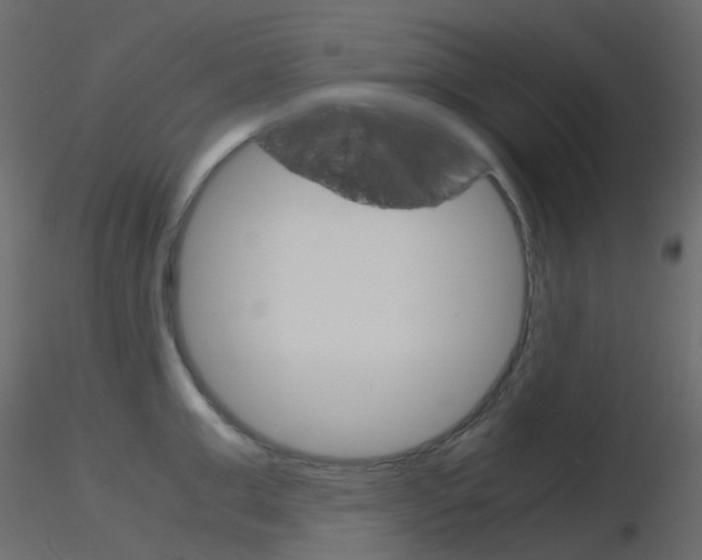 X0000115700999200912241519