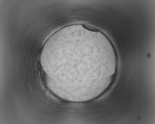 X0000115701001200912241519