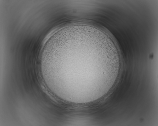 X0000115701002200912241519