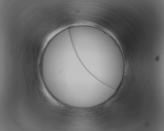 X0000115701003200912241519