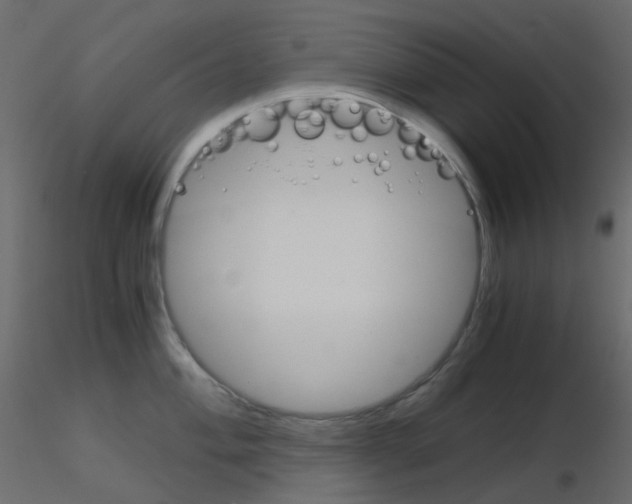 X0000115701004200912241519