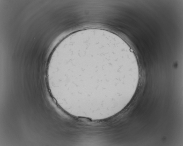 X0000115701005200912241519