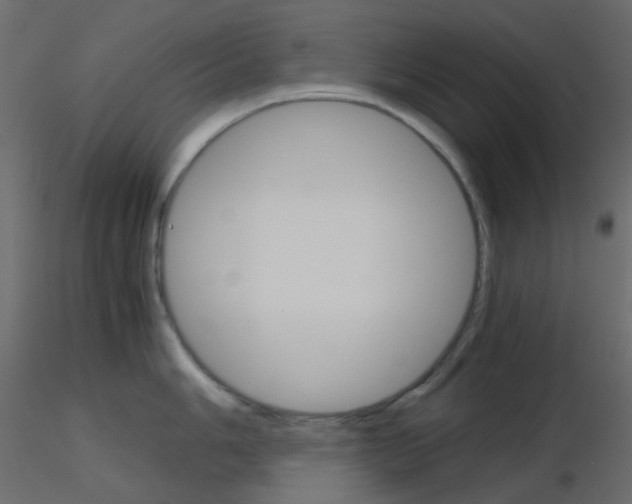 X0000115701006200912241519