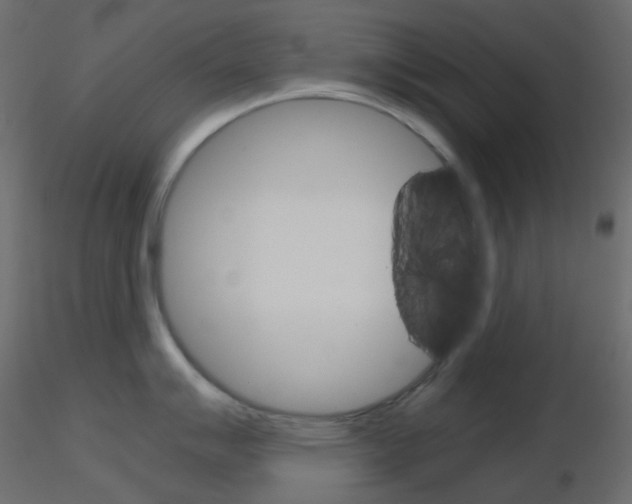 X0000115701007200912241519