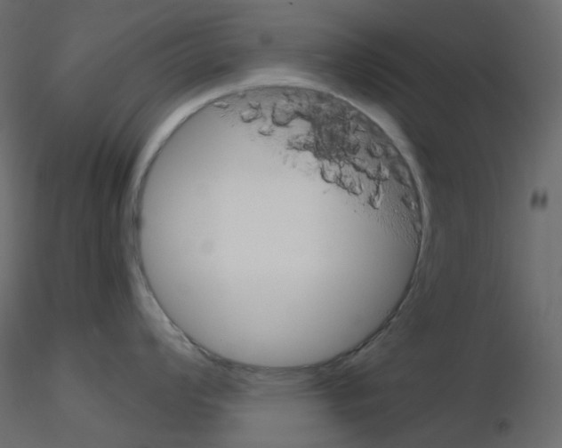 X0000115701008200912241519