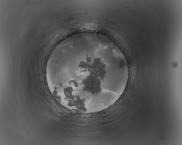 X0000115701009200912241518