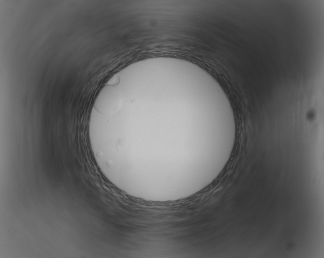 X0000115701010200912241518