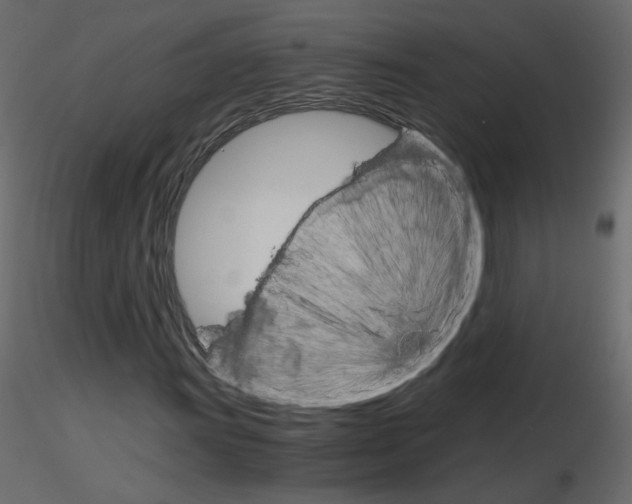 X0000115701011200912241518