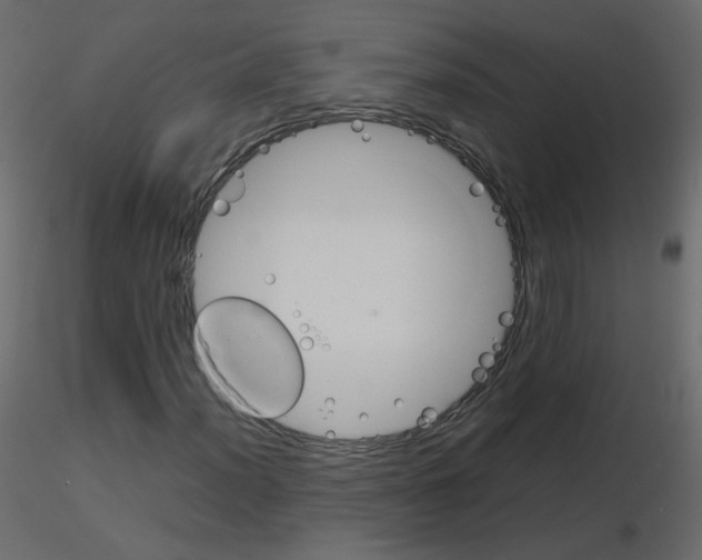 X0000115701012200912241518