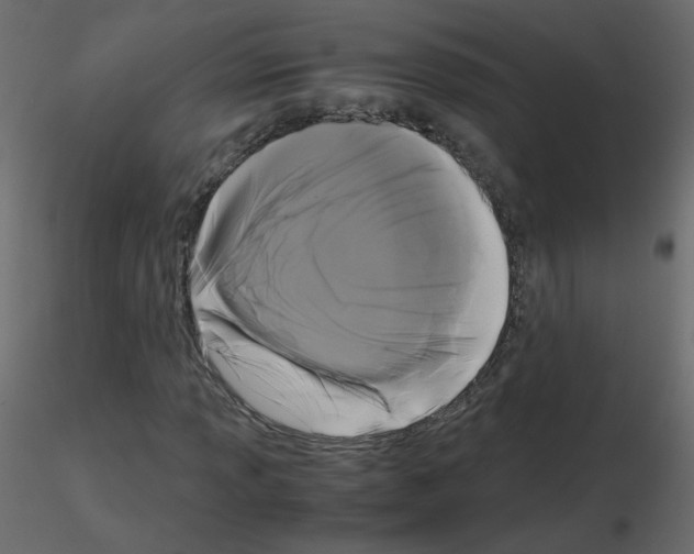 X0000115701013200912241518