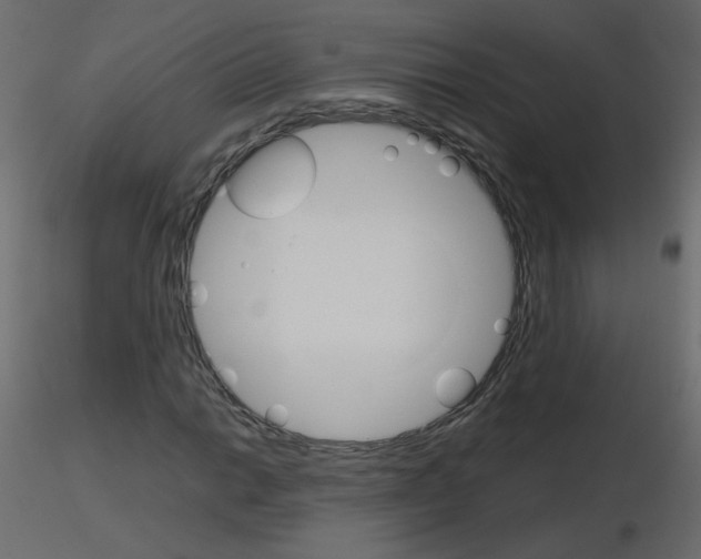 X0000115701014200912241518