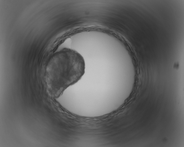 X0000115701016200912241518