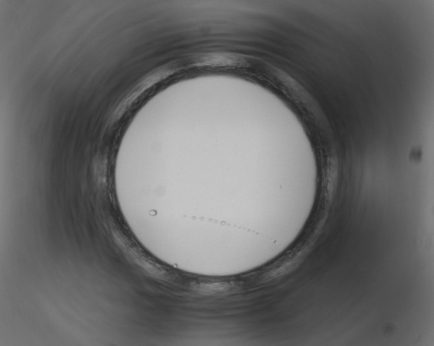 X0000115701017200912241518