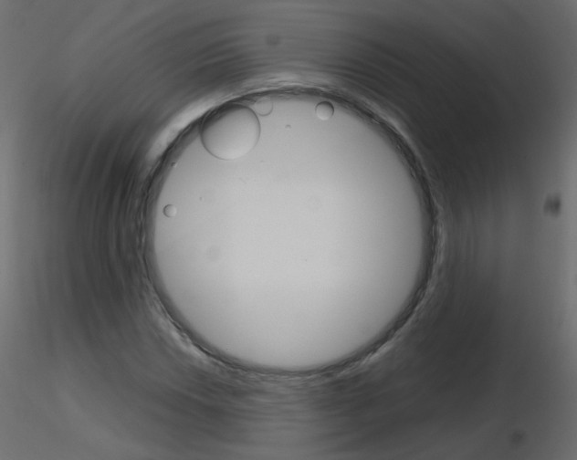 X0000115701018200912241518