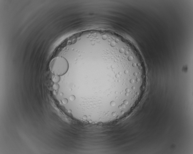 X0000115701019200912241518