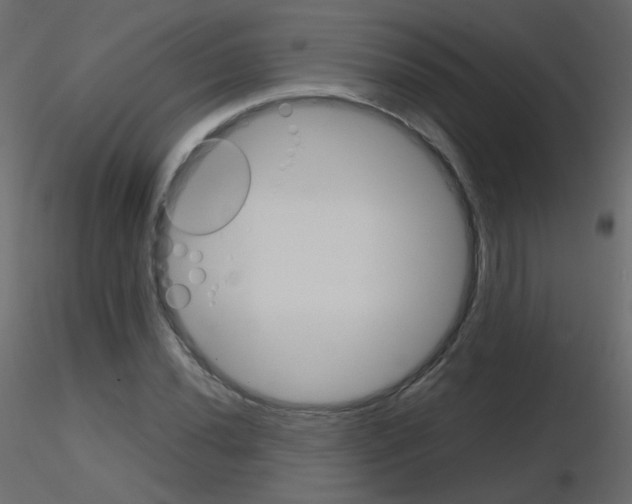 X0000115701020200912241518