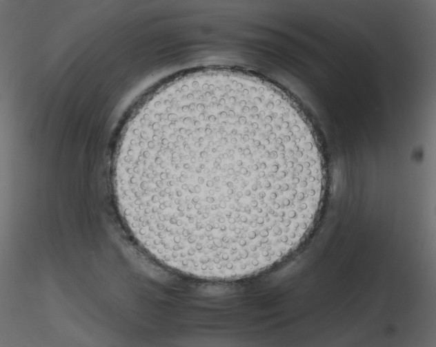 X0000115701021200912241518