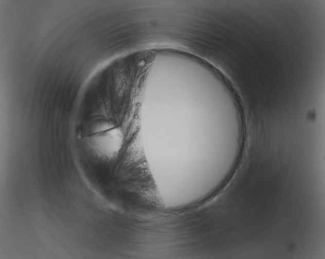 X0000115701022200912241518