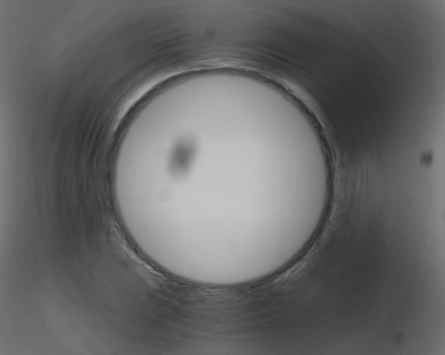 X0000115701023200912241518