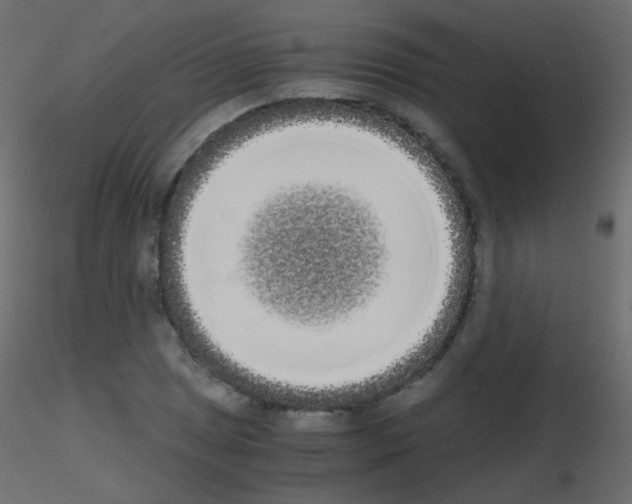 X0000115701025200912241518