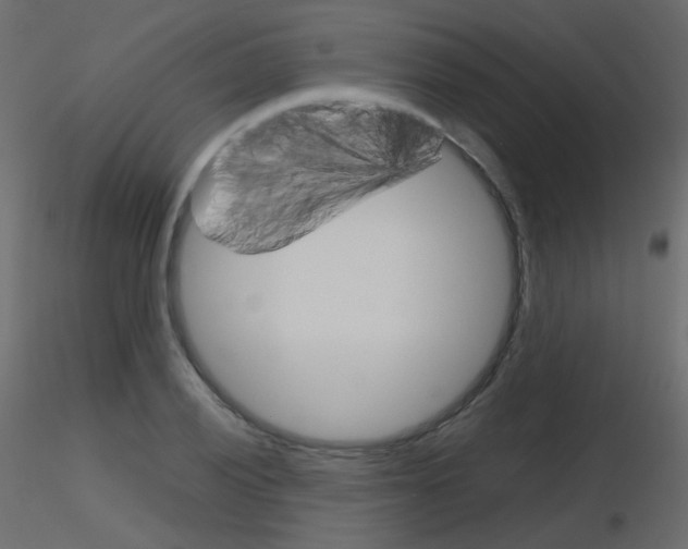 X0000115701028200912241518